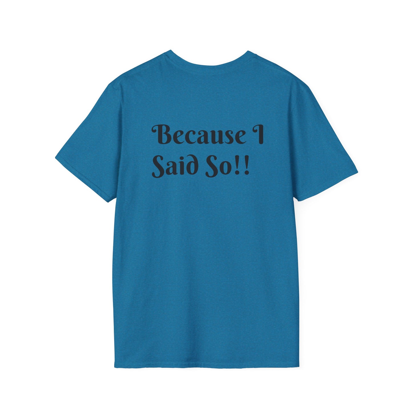 Funny Grandma Quote Unisex Softstyle T-Shirt – 'Why???' & 'Because I Said So!!'