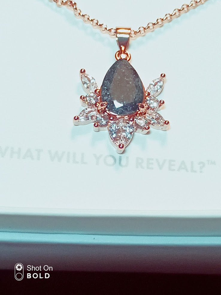 The Spider Necklace